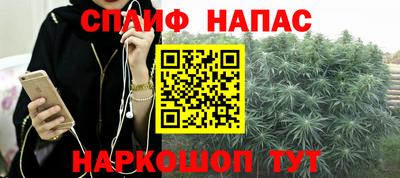 гашик Гусев