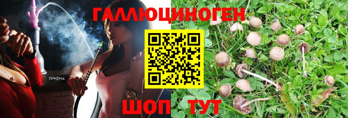 Галлюциногенные грибы мухоморы  Галлюциногенные грибы мицелий  Заречный  Вход с VPN 